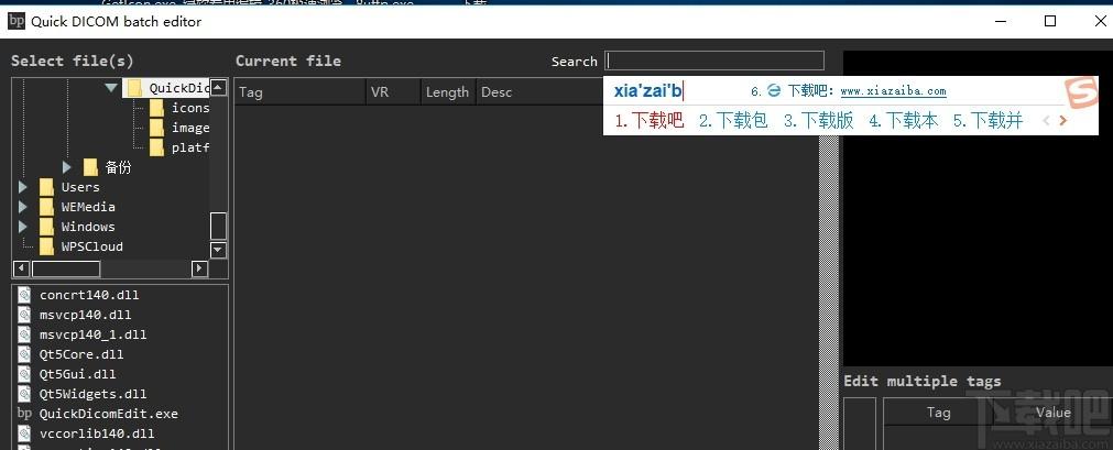 Quick Dicom batch editor下载,DICOM标签浏览编辑器