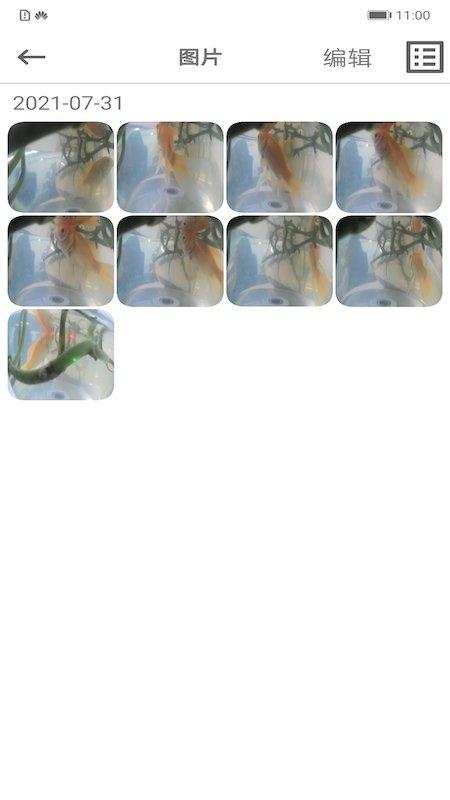 乐信车载影像手机版下载,乐信车载影像,车载app